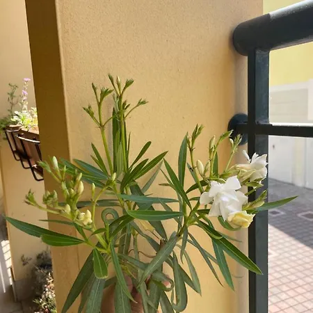 公寓 My Cozy Place